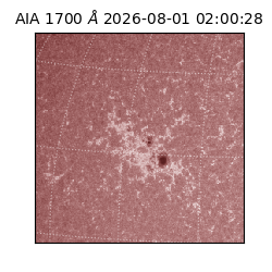 saia - 2026-08-01T02:00:28.717000