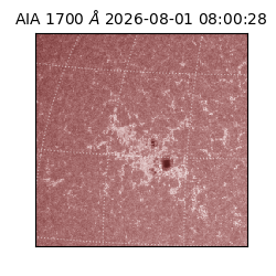 saia - 2026-08-01T08:00:28.717000