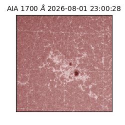saia - 2026-08-01T23:00:28.719000