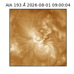 saia - 2026-08-01T09:00:04.845000