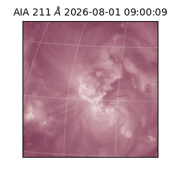 saia - 2026-08-01T09:00:09.629000