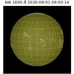 saia - 2026-08-01T06:00:14.136000