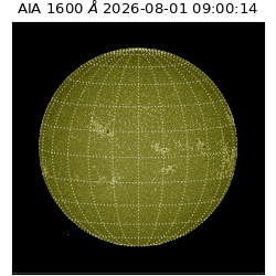 saia - 2026-08-01T09:00:14.123000