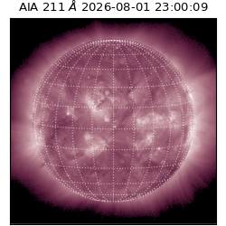saia - 2026-08-01T23:00:09.622000
