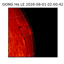 gong - 2026-08-01T02:00:42