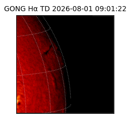 gong - 2026-08-01T09:01:22