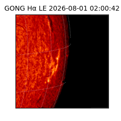 gong - 2026-08-01T02:00:42