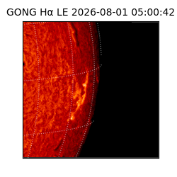 gong - 2026-08-01T05:00:42