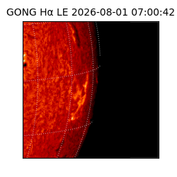 gong - 2026-08-01T07:00:42