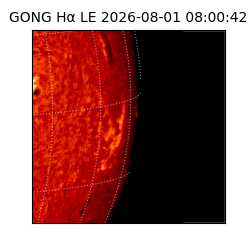gong - 2026-08-01T08:00:42