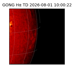 gong - 2026-08-01T10:00:22