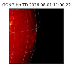 gong - 2026-08-01T11:00:22