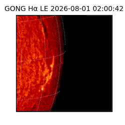 gong - 2026-08-01T02:00:42