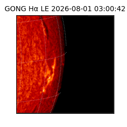 gong - 2026-08-01T03:00:42