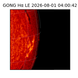 gong - 2026-08-01T04:00:42
