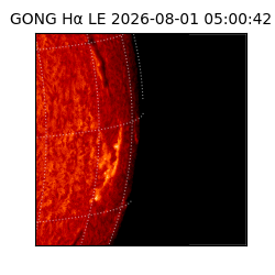 gong - 2026-08-01T05:00:42