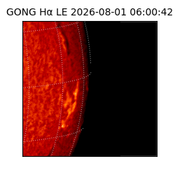 gong - 2026-08-01T06:00:42