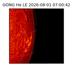 gong - 2026-08-01T07:00:42