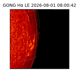 gong - 2026-08-01T08:00:42