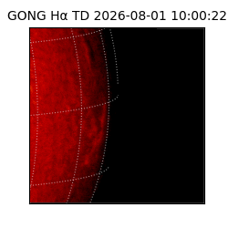 gong - 2026-08-01T10:00:22