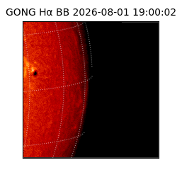 gong - 2026-08-01T19:00:02