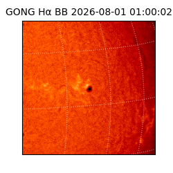 gong - 2026-08-01T01:00:02