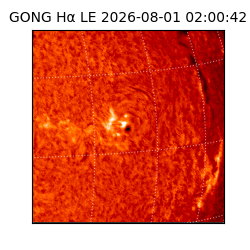 gong - 2026-08-01T02:00:42