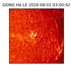 gong - 2026-08-01T03:00:42