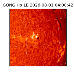 gong - 2026-08-01T04:00:42