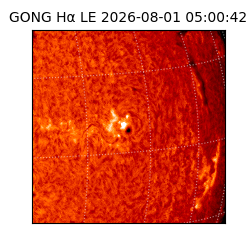 gong - 2026-08-01T05:00:42