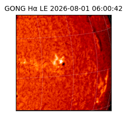 gong - 2026-08-01T06:00:42