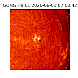 gong - 2026-08-01T07:00:42