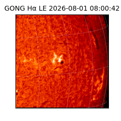 gong - 2026-08-01T08:00:42