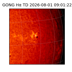 gong - 2026-08-01T09:01:22