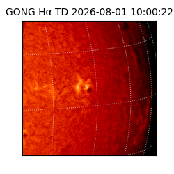 gong - 2026-08-01T10:00:22