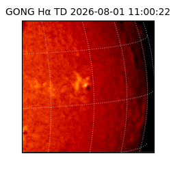 gong - 2026-08-01T11:00:22