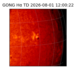 gong - 2026-08-01T12:00:22