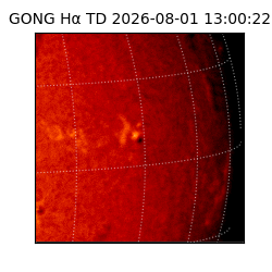 gong - 2026-08-01T13:00:22