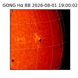 gong - 2026-08-01T19:00:02