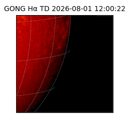 gong - 2026-08-01T12:00:22