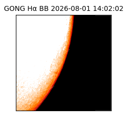 gong - 2026-08-01T14:02:02