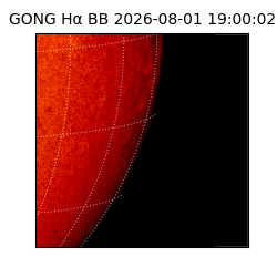 gong - 2026-08-01T19:00:02