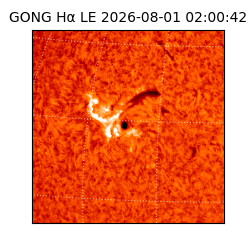 gong - 2026-08-01T02:00:42