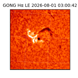 gong - 2026-08-01T03:00:42