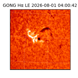 gong - 2026-08-01T04:00:42