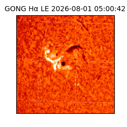 gong - 2026-08-01T05:00:42