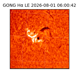 gong - 2026-08-01T06:00:42