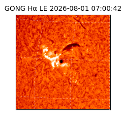 gong - 2026-08-01T07:00:42