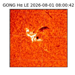 gong - 2026-08-01T08:00:42