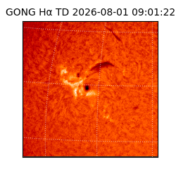 gong - 2026-08-01T09:01:22